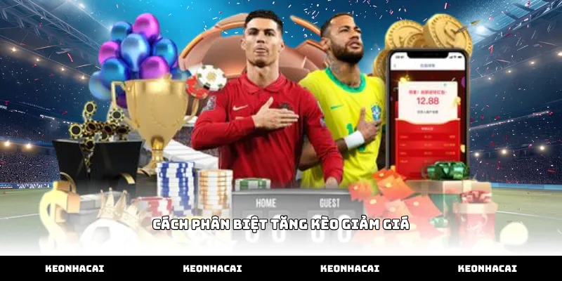 Mẹo áp dụng cách phân biệt tăng kèo giảm giá chuẩn xác